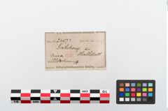 Etikett zu Bronzearmreif (NHMW-PRAE-024073)